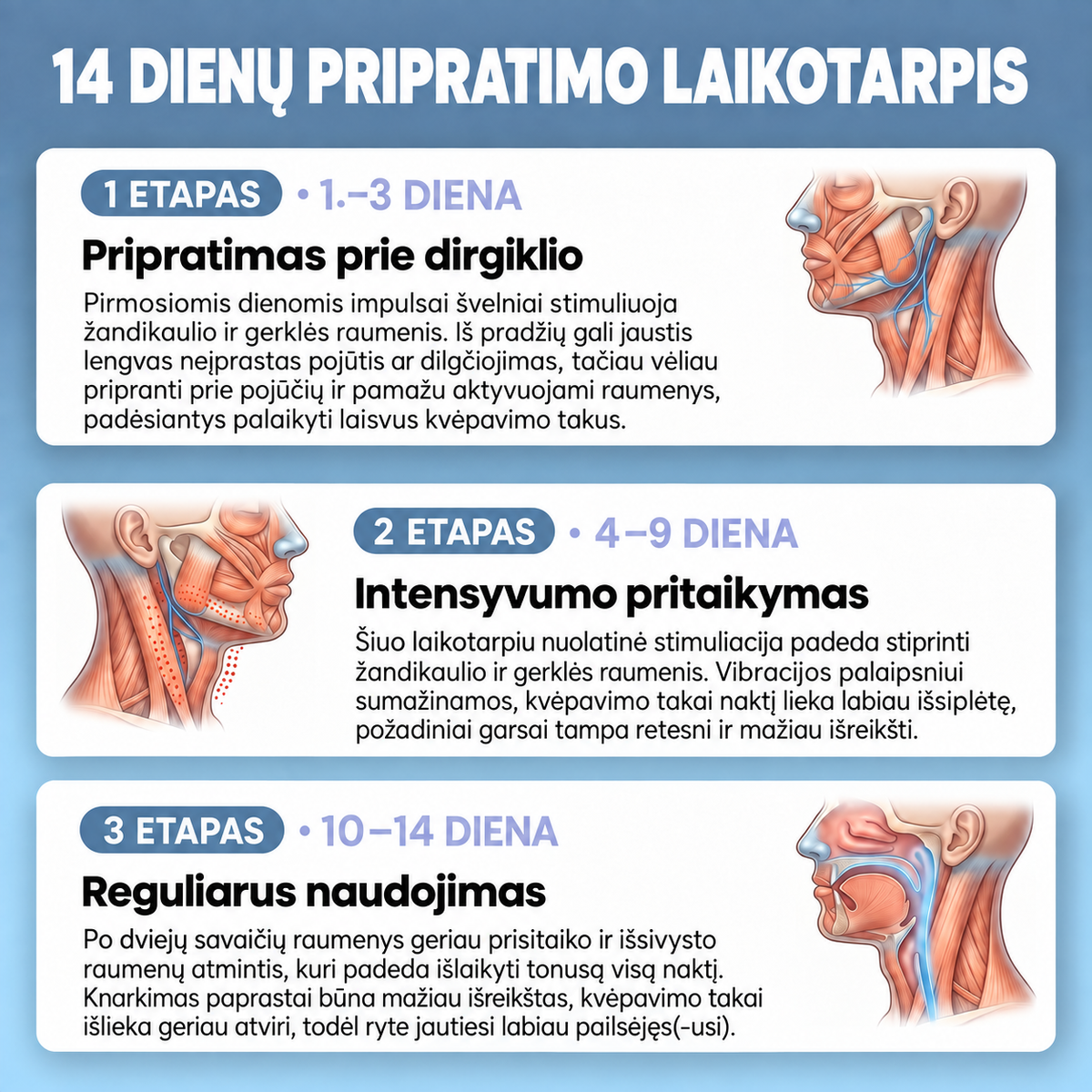 14 dienų pripratimo laikotarpis